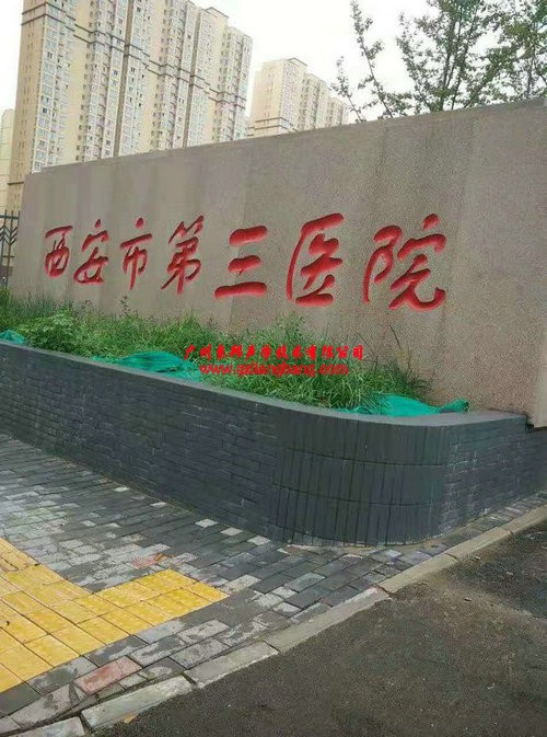 1682411808137286.jpg